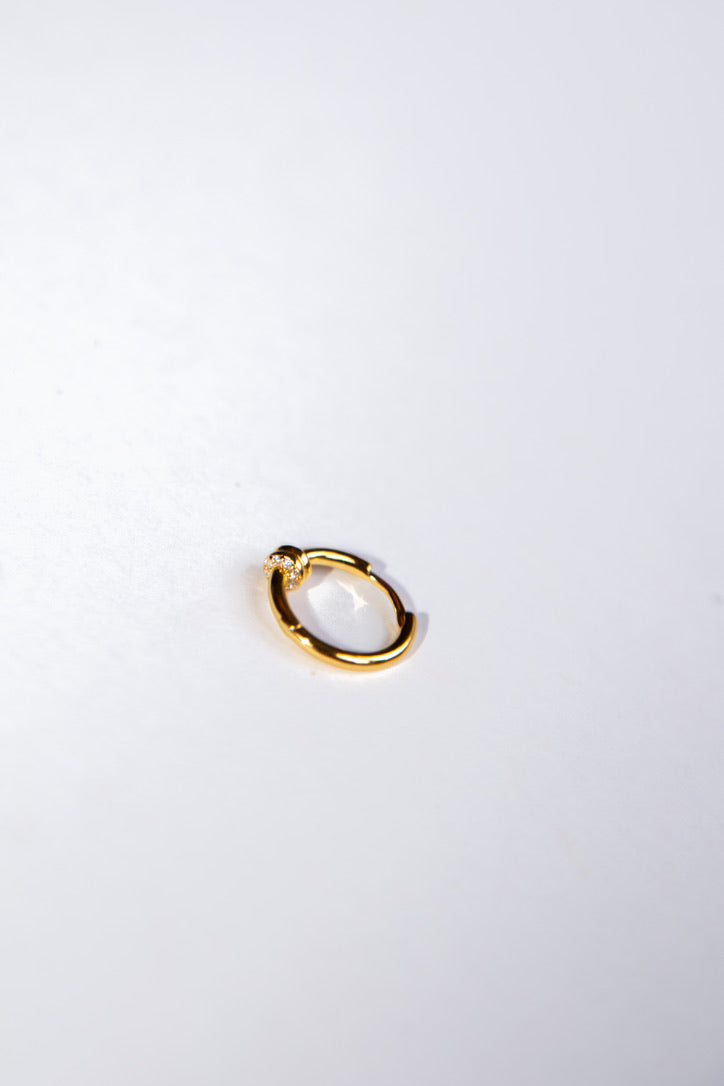 The Nico Hoop